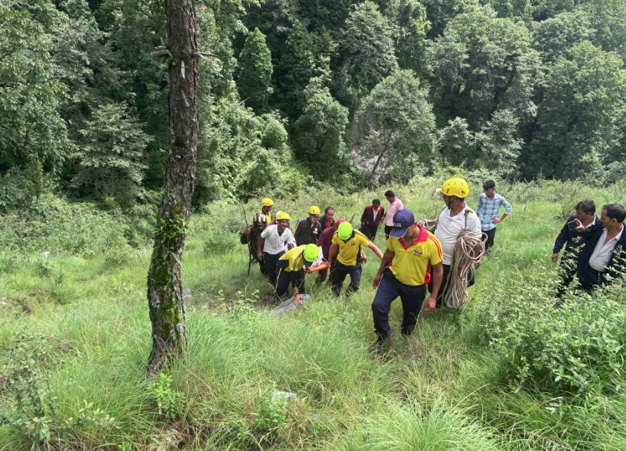 सामा-मुनस्यारी मार्ग पर भालू के हमले में पोस्टमास्टर की मौत