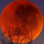 ब्लड मून का अद्भुत नज़ारा देखने को तैयार रहें, यूकॉस्ट देहरादून में होगा विशेष कार्यक्रम
