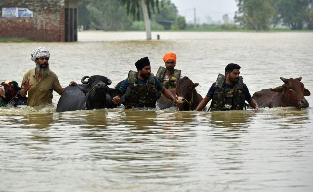 पंजाब में बारिश से तबाही, 23 जिलों के 1400 से ज्यादा गांव बाढ़ की चपेट में