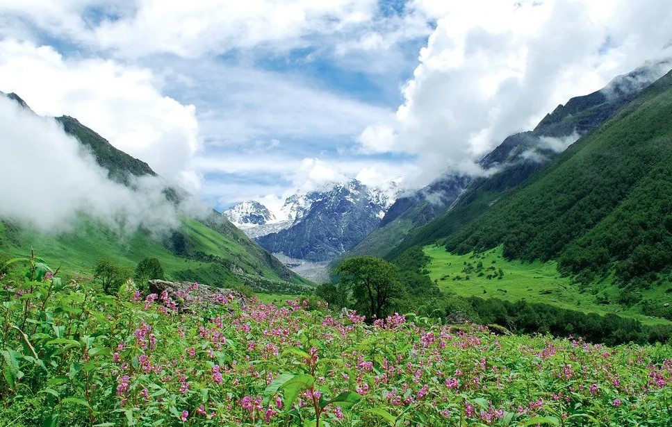 अब पर्यटकों को उत्तराखंड की वादियों की गहराई से मिलेगी जानकारी ,500 नेचर गाइड होंगे तैयार