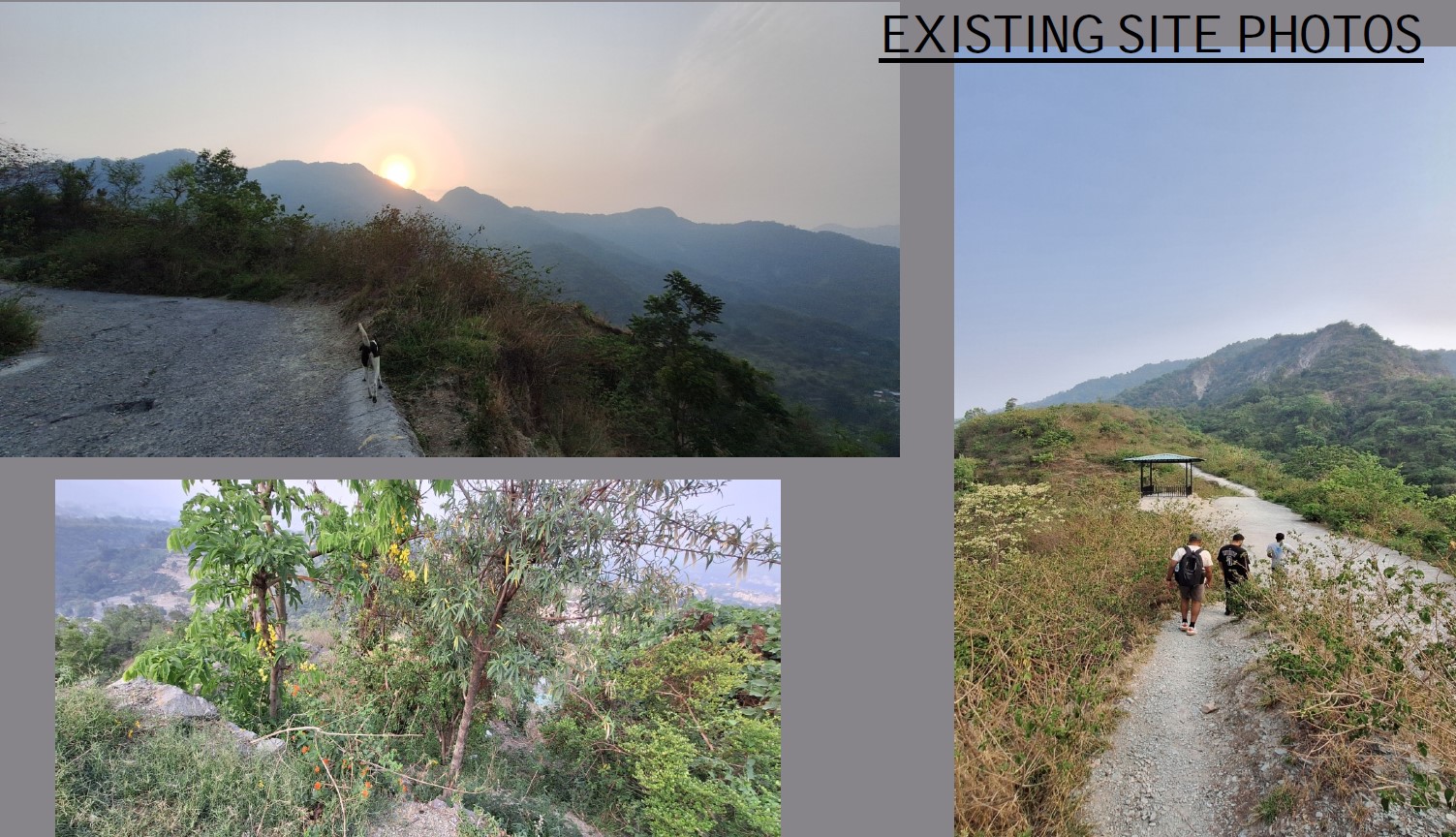 धामी सरकार की पहल, ऐतिहासिक किपलिंग ट्रैक का होगा कायाकल्प, मसूरी को मिलेगा नया शांत पर्यटन मार्ग