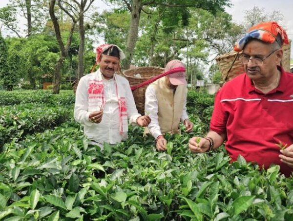 कृषि मंत्री गणेश जोशी ने असम के हाथीकुली चाय बागान का किया अवलोकन